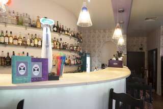 Отель Hotel Papion Бухарест-1