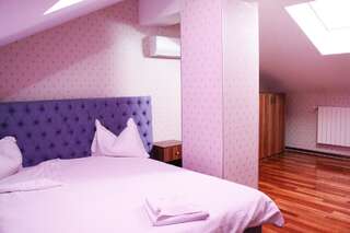 Отель Hotel Papion Бухарест Люкс № 6 с 1 спальней и балконом-7