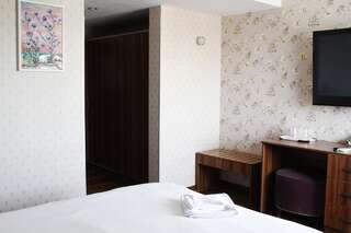 Отель Hotel Papion Бухарест Двухместный номер № 7 с 1 кроватью-5