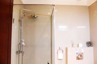 Отель Hotel Papion Бухарест Двухместный номер №5 с 1 кроватью-5