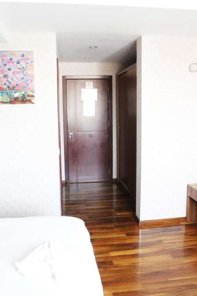 Отель Hotel Papion Бухарест-40