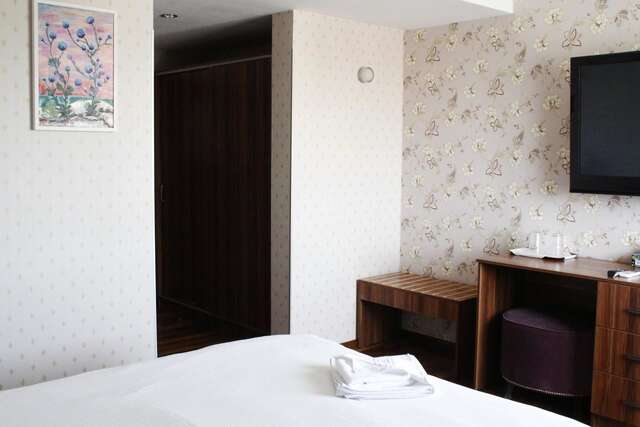 Отель Hotel Papion Бухарест-43